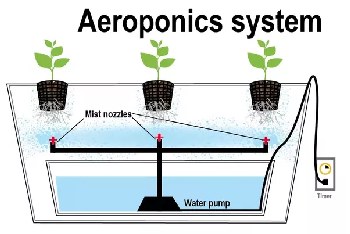 Aeroponics System