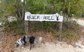 Our homestead is called Buck Hill.