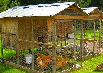 Chicken coop