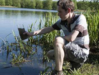 Purify water in the field with UV bottles.