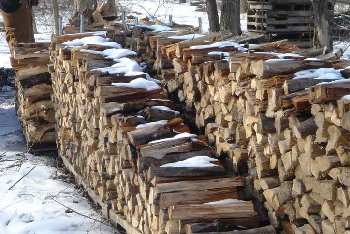 Firewood stacked for the winter.