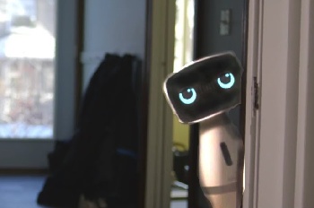 Household robots of the future