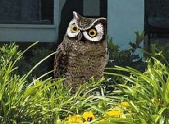 Garden Defense Electronic Owl 8021