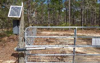 12v DC power with solar recharging is best for a rural farm gate.