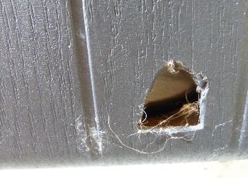 Cut hole in back of dog house for heated pet bed cord.