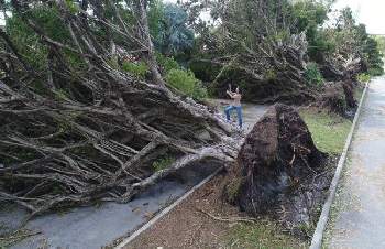 Storm damage in Miami from Hurricane Irma