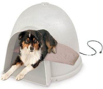 Dog sheltered by doghouse and kept warm with a heated pet bed.