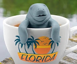 Manatea Infuser