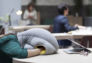 the Ostrich Pillow