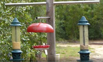 This is our homemade bird-feeding station.