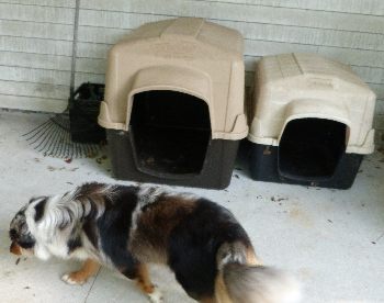 Petmate Dog Houses are sturdy.