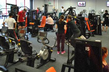 Working out in a professional gym