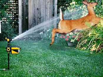 ScareCrow Motion Activated Sprinkler Animal Repellent 0401604