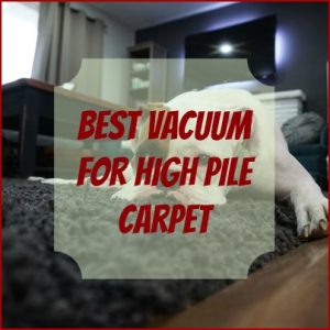 Best Vacuum for High Pile Carpet
