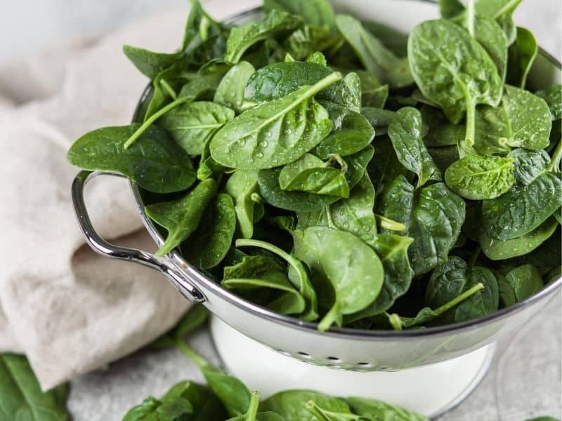 A bowl of baby spinach