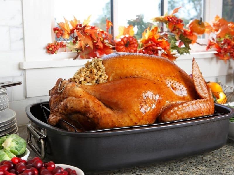 Beautifully roasted turkey in electric roaster oven