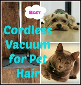 best cordless vacuum for pet hair