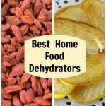 best home food dehydrator