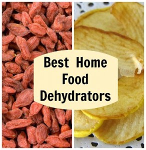 best home food dehydrator