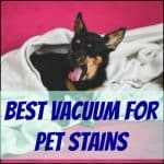 best vacuum for pet stains