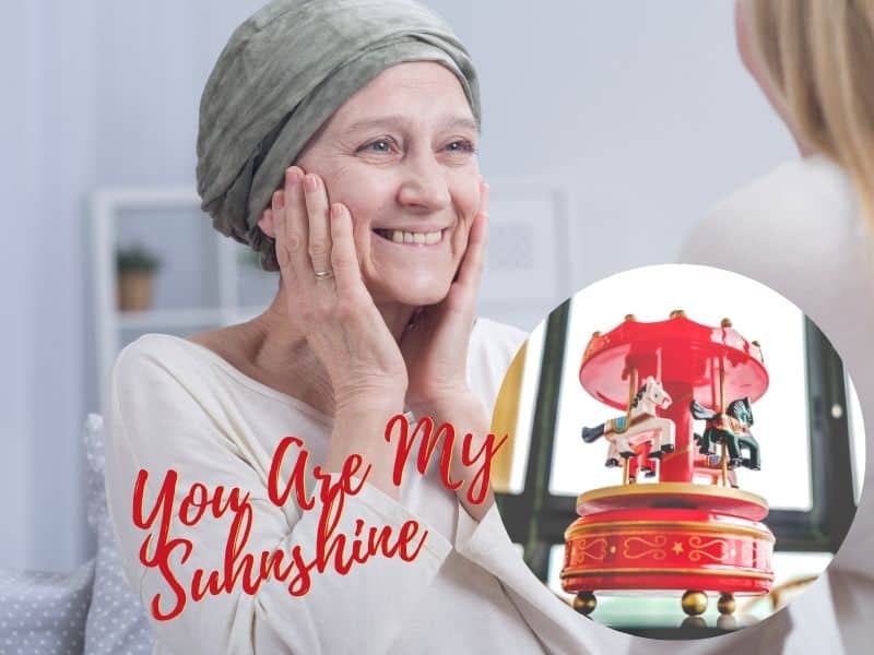 You Are My Sunshine Lyrics Willie Nelson holiday Shipping