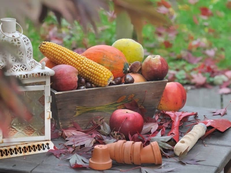 Fall fruits used as table decor